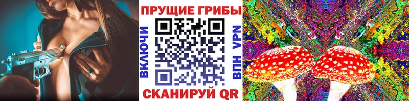 как найти закладки  Минусинск  гидра онион  Псилоцибиновые грибы Psilocybe 