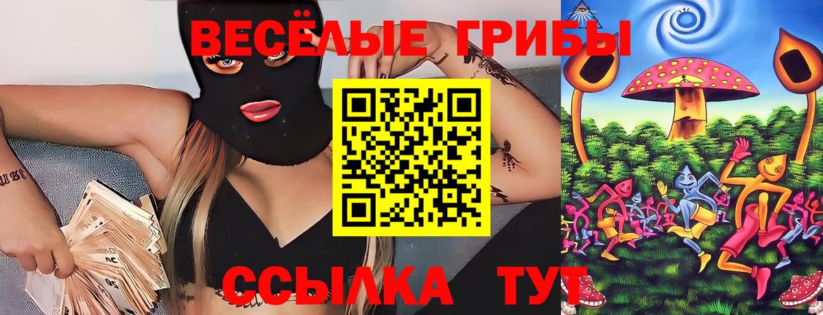 Псилоцибиновые грибы Psilocybe Минусинск
